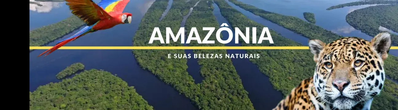 Viva Amazonas